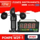 PONPE W29-1